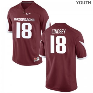 Jack Lindsey Razorbacks NCAA Youth Limited Jersey - Cardinal